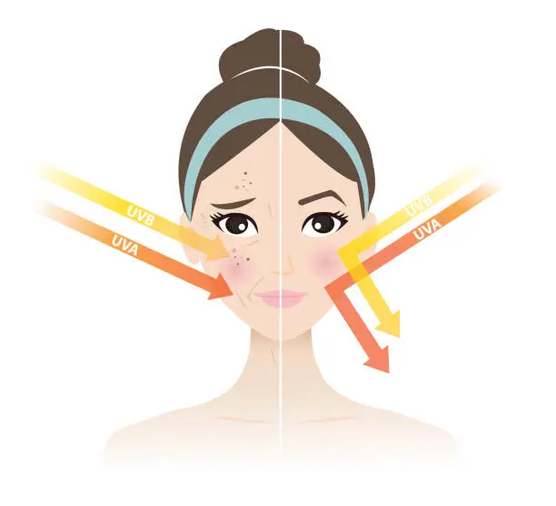 Vector illustration of Comparison of damaged skin from UVA and UVB rays and healthy skin vector illustration on white background.