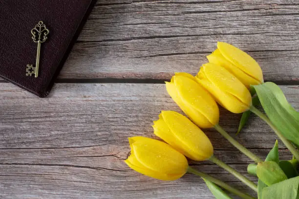Ancient key on closed holy bible book and yellow tulips on wooden table. Top view. Unlock biblical prophecy, answered prayer, and Christian growth concept.