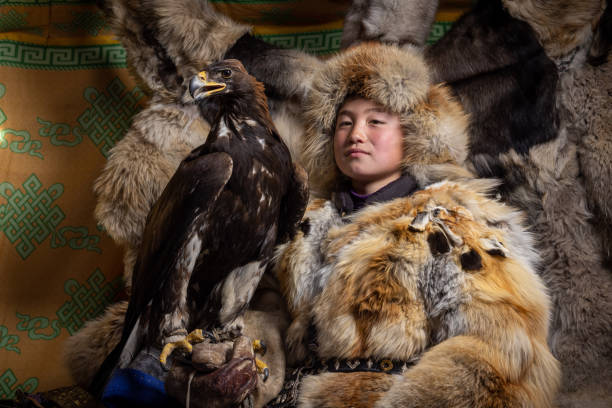 photographs between eagles and nomadic people in mongolia - independent mongolia fotos imagens e fotografias de stock