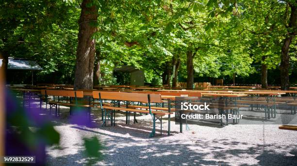 Beer Garden In Munich With Beautiful Chestnut Trees Stock Photo - Download Image Now