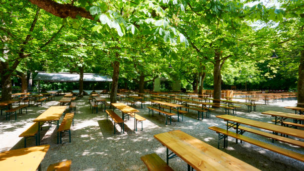 istock Beer garden in Munich with beautiful chestnut trees 1492832707