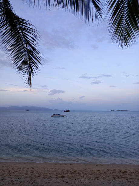 istock Tropical beach at sunset in beautiful pastel lavendel colors as background. 1492837099