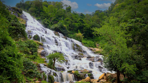 istock The jungle with green ecology a Waterfall-River-rocks-covered-with rainy forest-Waterfall in the forest at park 1492838894