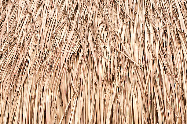 istock Walls of straw dry 149283893