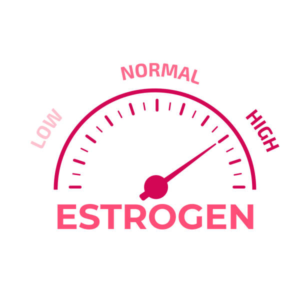 Estrogen level meter. Vector illustration. Estrogen level meter. Vector illustration. hormone therapy stock illustrations