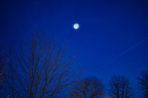 Full Moon with stars, planets and winter tree silhouettes.