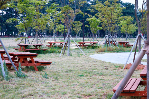 istock wooden picnic tables in the park 1492860455