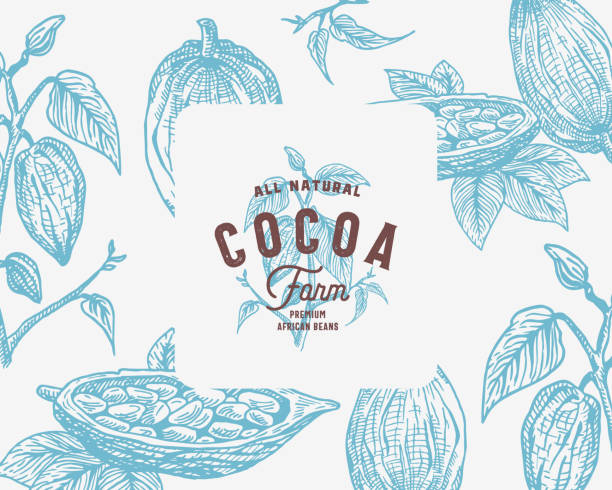 ilustrações de stock, clip art, desenhos animados e ícones de hand drawn cocoa beans branch vector background. abstract cacao sketch card or cover template with classy retro typography. - cacau em pó