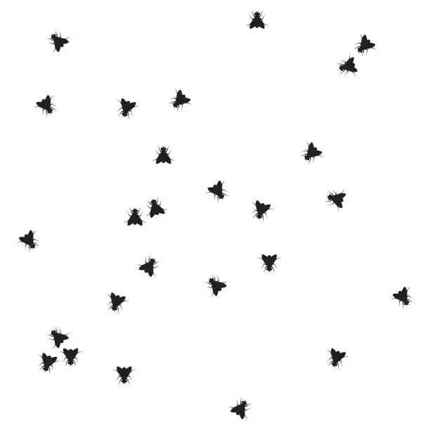 Vector illustration of Housefly pattern
