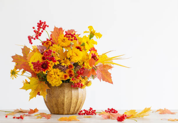 istock autumnal bouquet in ceramic vase on white background 1492863166