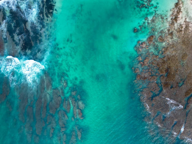 istock Beautiful sea in Bali - Indonesia. 1492863323