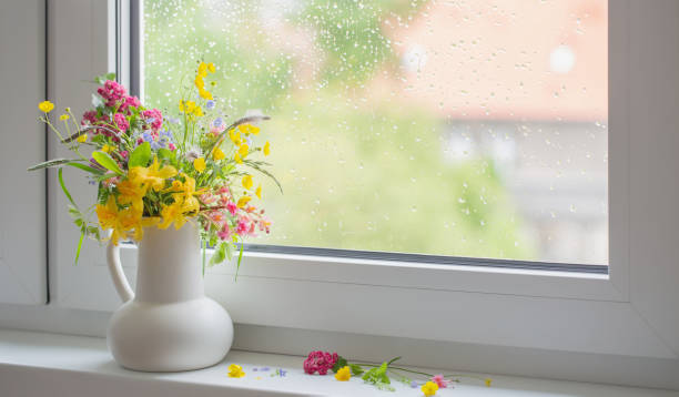 istock summer flowers in white jug on windowsill 1492866653