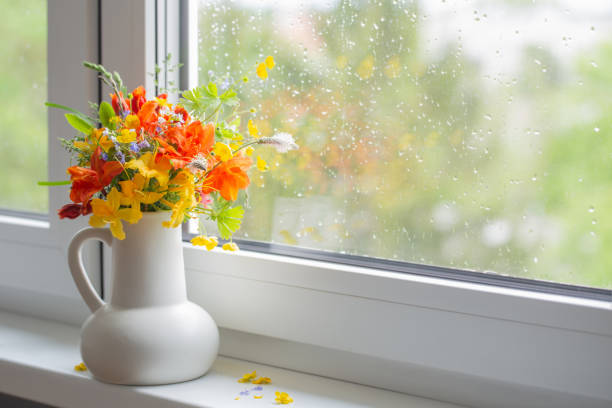 istock summer flowers in white jug on windowsill 1492866729
