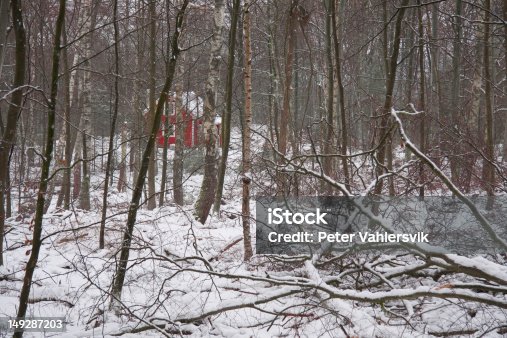 istock Cottage in a winterforest 149287203