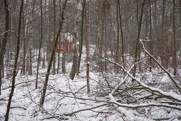 Red cottage in a winterembrased forest