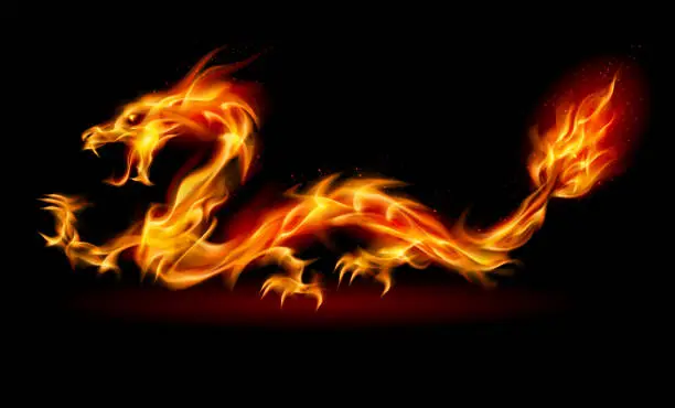 Vector illustration of Fire Dragon