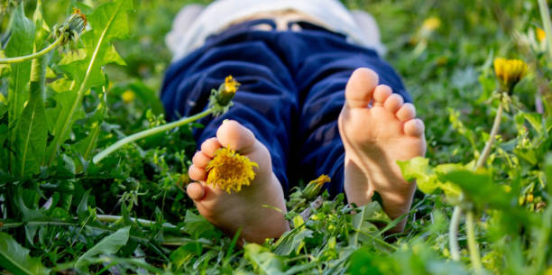 istock Dandelion baby legs, spring sunny weather. 1492873001