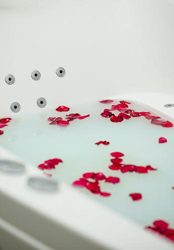 Red rose petals floating in bathtub with milk.