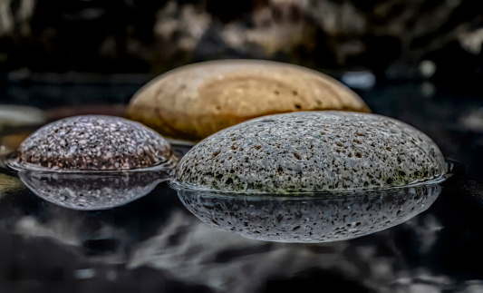Smooth pebbles in a pond.