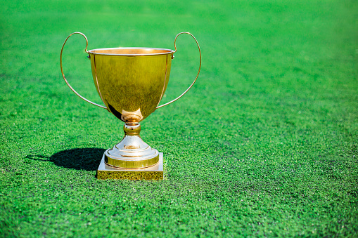 Golden trophy cup on green grass, close-up. sports background