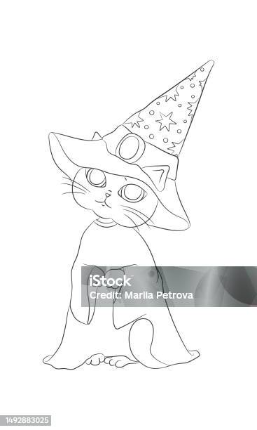 Vektor Tangan Ditarik Kucing Wizard Terisolasi Pada Latar Belakang