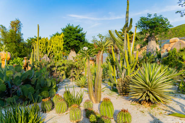istock An oasis in the park. 1492883431