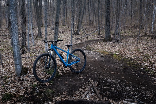 A bicycle is parked in the middle of a forest as if it is waiting for its rider. Orillia, Canada.
