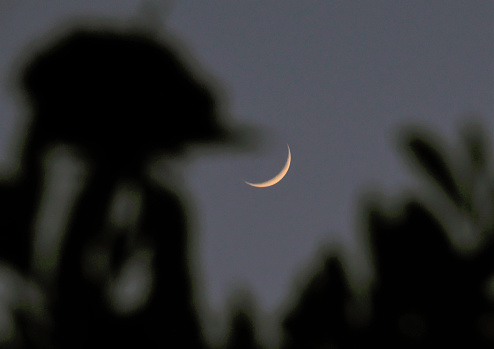 New moon  in the evening