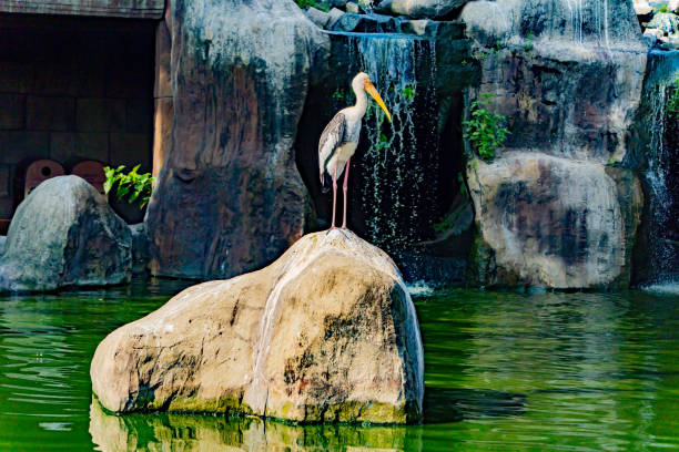 Vinpearl Island of entertainment and recreation near Nha Trang in Vietnam.