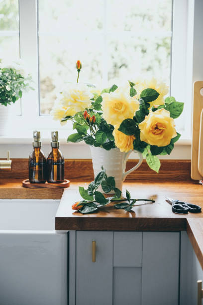 istock Freshly cut yellow roses from the garden 1492887735