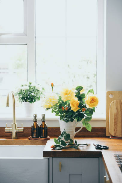 Freshly cut yellow roses from the garden Arranging cut flowers from the garden by Belfast sink in the kitchen. yellow scissors stock pictures, royalty-free photos & images