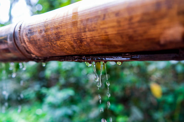 bambù con flusso d'acqua sull'acqua, relax con concetto di gocce di increspatura dell'acqua - nature ripple summer plant foto e immagini stock