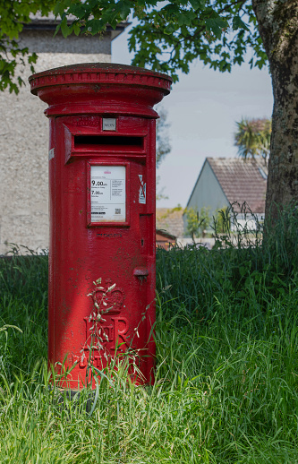 Red British Post box under the trees and in long grass.