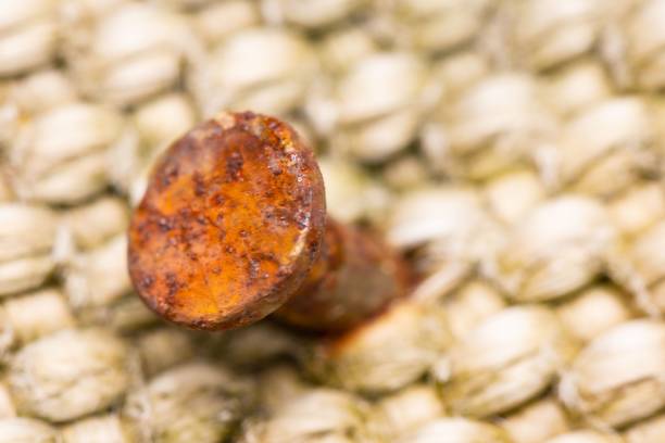 A close up of a small rusted metal screw