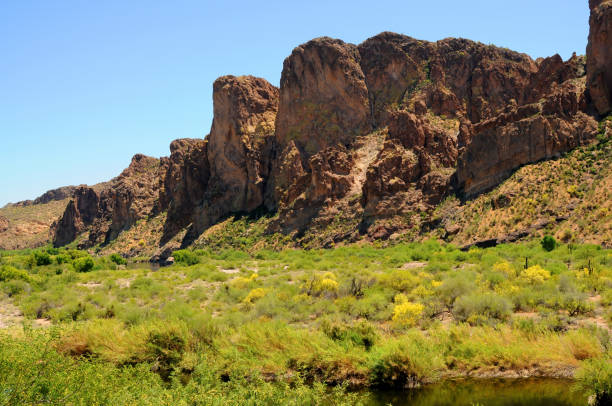 istock Salt River Recreation Area Arizona 1492893088
