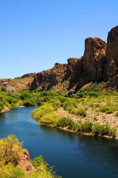 istock Salt River Recreation Area Arizona 1492893094