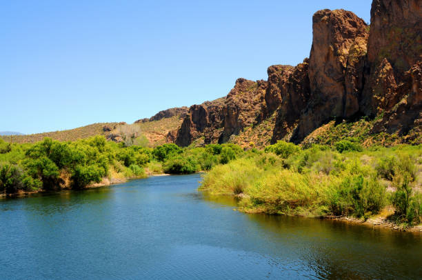 istock Salt River Recreation Area Arizona 1492893130