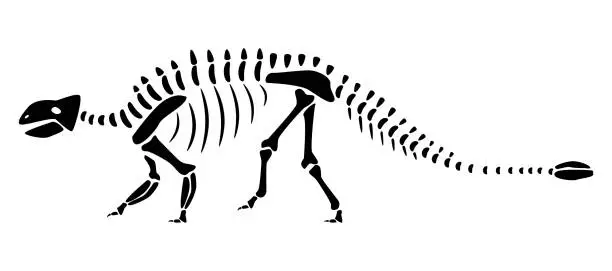 Vector illustration of Ankylosaurus skeleton . Silhouette dinosaurs . Side view . Vector .