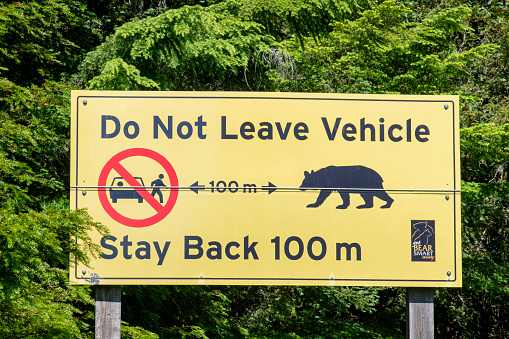 Whistler, BC, Canada-August 2022; View of yellow sign from Bear Smart Society, next to road in warning bears could be on the road and not to leave your car if bears are within 100 meter distance