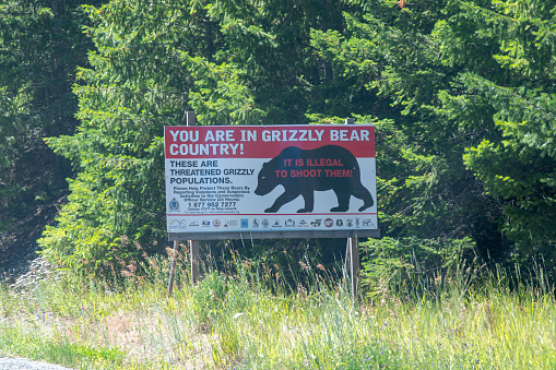 British Columbia, Canada-August 2022; View of large sign next to the road warning that it is illegal to shoot grizzly bears as they are an endangered and threatened species