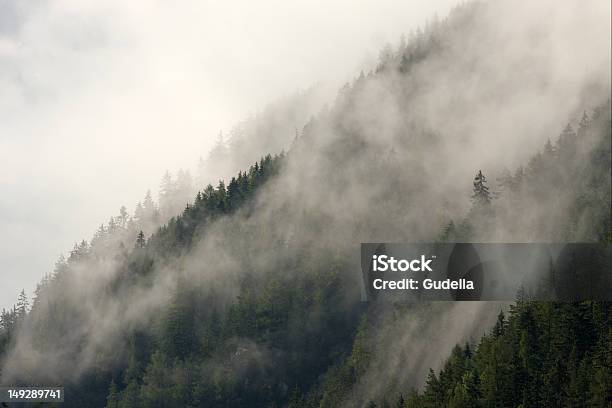 Mountain Forest Stock Photo - Download Image Now - Cloud - Sky, Dawn, Deep