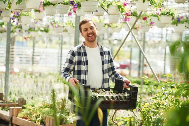 istock Smiling, holding plastic box with plants. Florist man working in garden center. Successful employee is in a bright greenhouse 1492899210