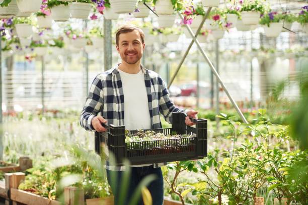 istock Smiling, holding plastic box with plants. Florist man working in garden center. Successful employee is in a bright greenhouse 1492899248