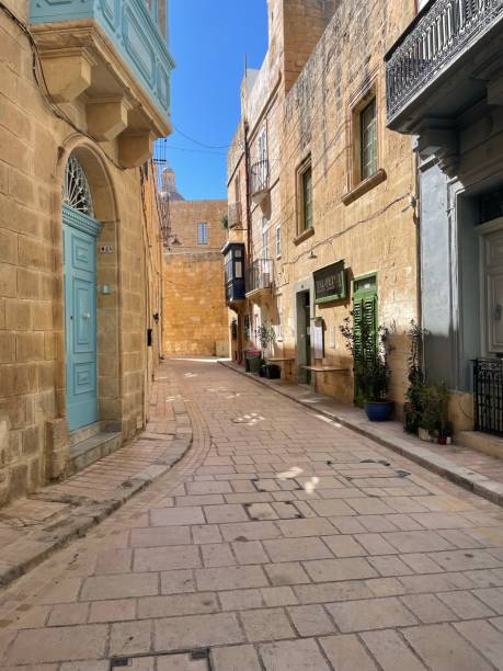 istock Exploring a Cobblestone Alley in Town 1492911525