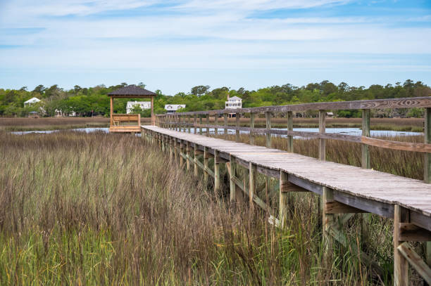 istock Pawleys Island marsh and boardwalk 1492916364