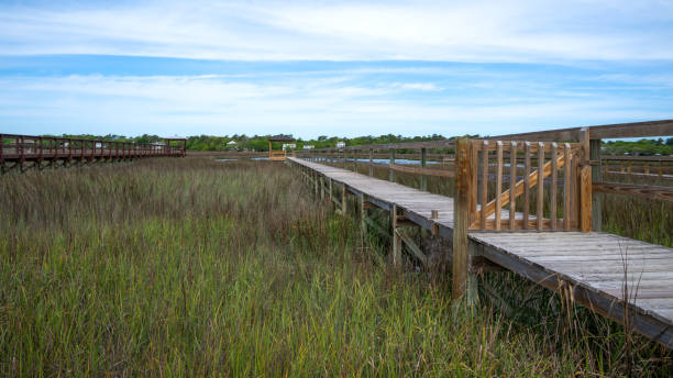 istock Pawleys Island marsh and boardwalk 1492916369