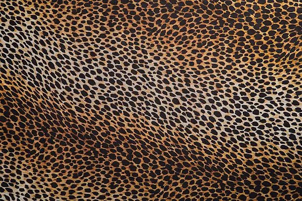 Photo of leopard background