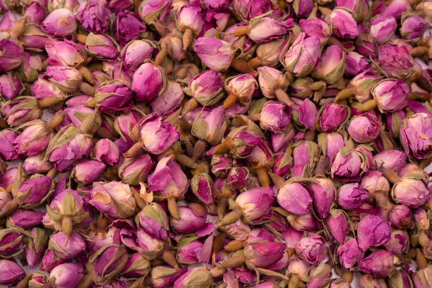 istock Dry tea roses isolated on white background. 1492924759