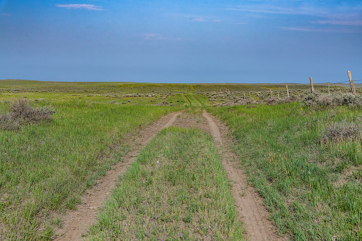 Trail through a grassland at Bitter Lake National Wildlife, New Mexico