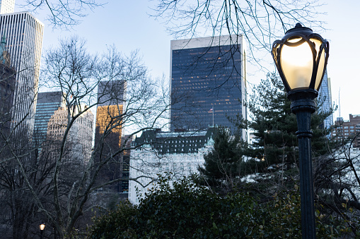 A light at Central Park with Midtown Manhattan skyscrapers and trees in the background during the winter in New York City